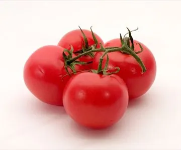 Vine tomatoes