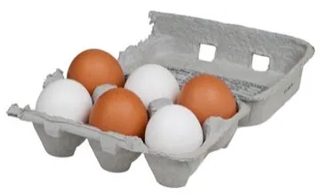 Eggs in a carton
